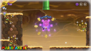Petal Isles — Super Mario Bros. Wonder walkthrough screenshot