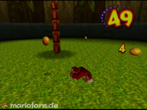 DK Isles — training and hub route