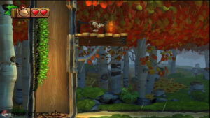 Secret Exits and Hidden Portals — Donkey Kong Country: Tropical Freeze walkthrough screenshot