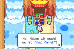 Hoohoo Village and Hoohoo Mountain — Mario & Luigi: Superstar Saga walkthrough screenshot