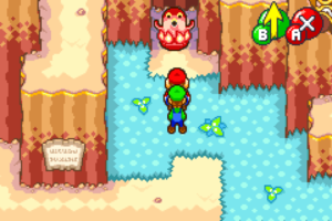 Hoohoo Village and Hoohoo Mountain — Mario & Luigi: Superstar Saga walkthrough screenshot