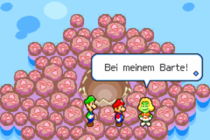 Hoohoo Village and Hoohoo Mountain — Mario & Luigi: Superstar Saga walkthrough screenshot
