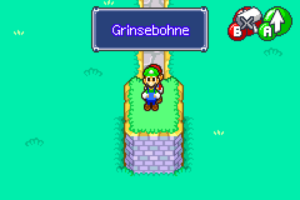 Woohoo Hooniversity — Mario & Luigi: Superstar Saga walkthrough screenshot
