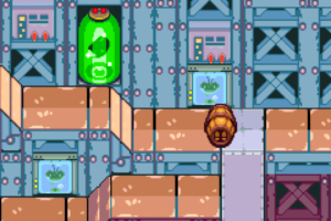 Woohoo Hooniversity — Mario & Luigi: Superstar Saga walkthrough screenshot