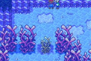 Oho Ocean and Beanbean International Airport — Mario & Luigi: Superstar Saga walkthrough screenshot
