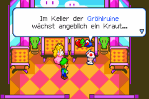 Teehee Valley and Little Fungitown — Mario & Luigi: Superstar Saga walkthrough screenshot