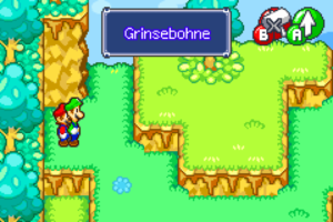 Yoshi Theater, Harhalls Studio and Winkle Colosseum — Mario & Luigi: Superstar Saga walkthrough screenshot