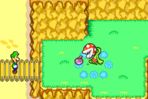 Yoshi Theater, Harhalls Studio and Winkle Colosseum — Mario & Luigi: Superstar Saga walkthrough screenshot