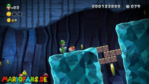 Acorn Plains — New Super Luigi U walkthrough screenshot