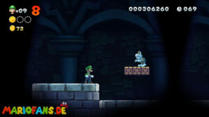 Acorn Plains — New Super Luigi U walkthrough screenshot