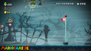 Secret Exits — New Super Luigi U walkthrough screenshot