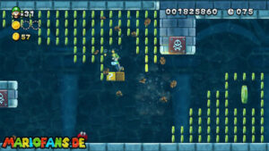 Sparkling Waters — New Super Luigi U walkthrough screenshot