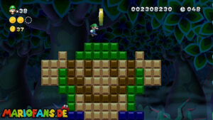 Soda Jungle — New Super Luigi U walkthrough screenshot