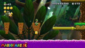 Secret Exits — New Super Luigi U walkthrough screenshot