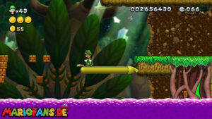Secret Exits — New Super Luigi U walkthrough screenshot