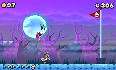 Secret Exits — New Super Mario Bros. 2 walkthrough screenshot