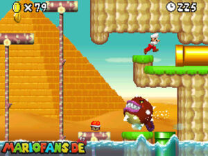 Secret Exits — New Super Mario Bros. walkthrough screenshot