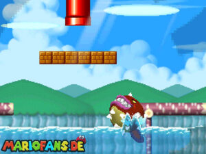 World 3 — New Super Mario Bros. walkthrough screenshot