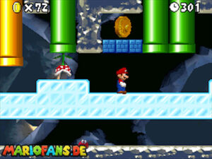 World 5 — New Super Mario Bros. walkthrough screenshot