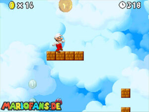 World 5 — New Super Mario Bros. walkthrough screenshot