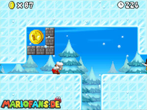 World 5 — New Super Mario Bros. walkthrough screenshot