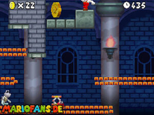 World 5 — New Super Mario Bros. walkthrough screenshot