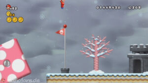 Secret Exits — New Super Mario Bros. Wii walkthrough screenshot