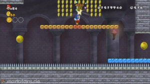 World 3 — New Super Mario Bros. Wii walkthrough screenshot