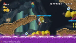 World 5 — New Super Mario Bros. Wii walkthrough screenshot