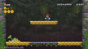 World 5 — New Super Mario Bros. Wii walkthrough screenshot