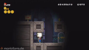Secret Exits — New Super Mario Bros. Wii walkthrough screenshot