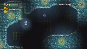 World 8 — New Super Mario Bros. Wii walkthrough screenshot