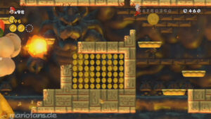 World 8 — New Super Mario Bros. Wii walkthrough screenshot