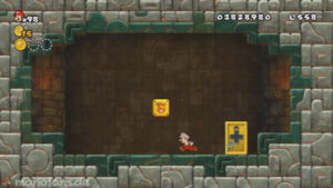 World 8 — New Super Mario Bros. Wii walkthrough screenshot