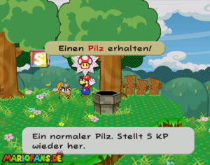 Chapter 1: Castle and Dragon — Paper Mario: The Thousand-Year Door walkthrough screenshot