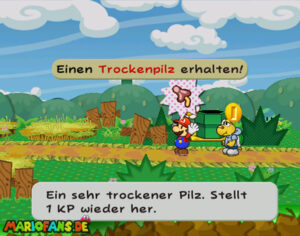 Chapter 1: Castle and Dragon — Paper Mario: The Thousand-Year Door walkthrough screenshot