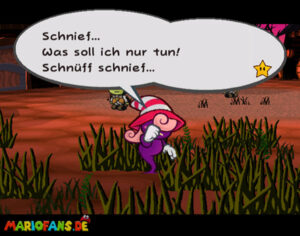 Chapter 4: For Pigs the Bell Tolls — Paper Mario: The Thousand-Year Door walkthrough screenshot
