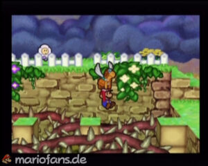 Flower Fields — Paper Mario walkthrough screenshot