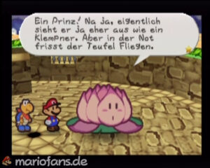 Flower Fields — Paper Mario walkthrough screenshot