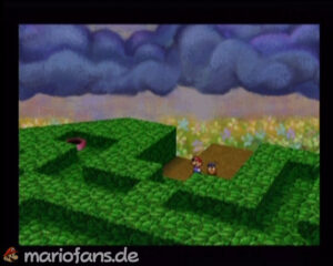 Flower Fields — Paper Mario walkthrough screenshot