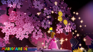 Ninjutsu: The Art of Rapids — Princess Peach: Showtime! walkthrough screenshot
