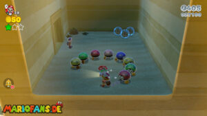 World 5 — Super Mario 3D World walkthrough screenshot
