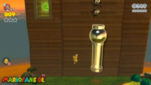 World 5 — Super Mario 3D World walkthrough screenshot