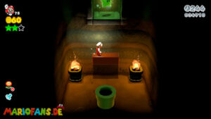 World Castle — Super Mario 3D World walkthrough screenshot