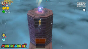 World Bowser — Super Mario 3D World walkthrough screenshot