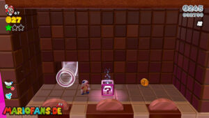 World Bowser — Super Mario 3D World walkthrough screenshot