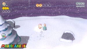 World Star — Super Mario 3D World walkthrough screenshot