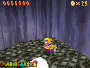 Super Mario 64 DS walkthrough screenshot