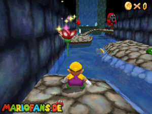 Super Mario 64 DS walkthrough screenshot