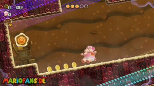 Sunbaked Desert — Super Mario Bros. Wonder walkthrough screenshot